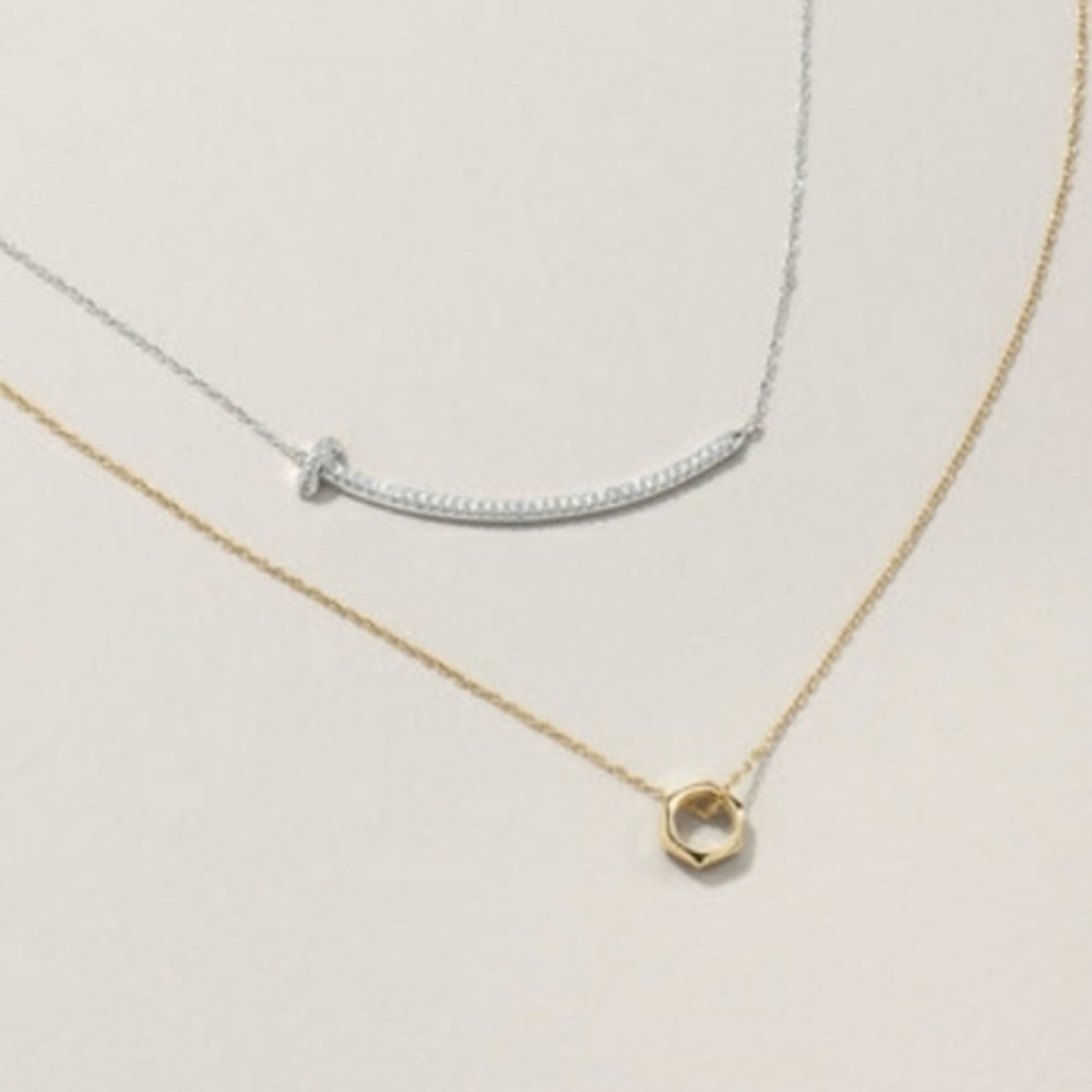 Stella & Dot Mixed Metal Ultra Delicate Hardware Necklace Duo - Picture 11 of 16